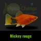 Platy