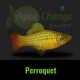 Platy