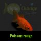 poisson rouge