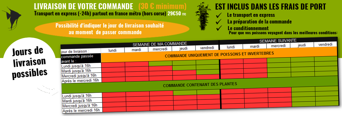 transport des poissons et plantes d'aquarium