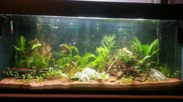 300 litres