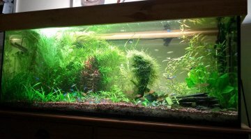 250 Litres