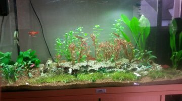 125 LITRES