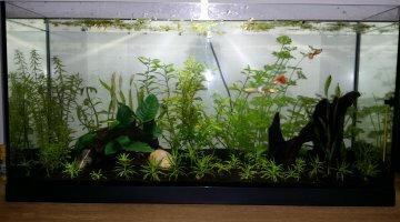 90 Litres Low Tech :)