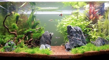 Fluval fresh f-90