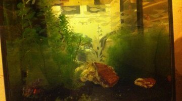 25L d'eau douce