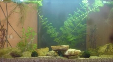 100 litres communautaire