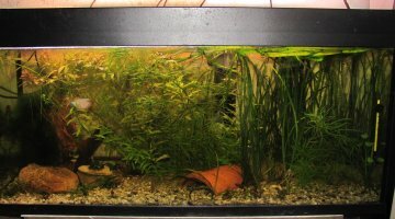 Juwel 200 L