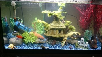 60 litres Mikoo