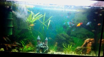 120 litres communautaires