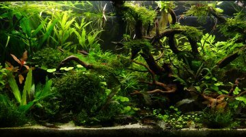 180 litres