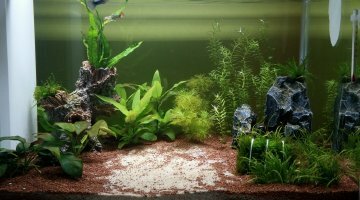 50L Communautaire
