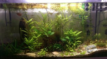 80 litres communautaire