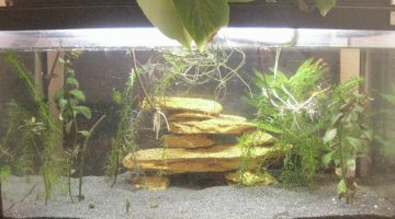 60L low tech