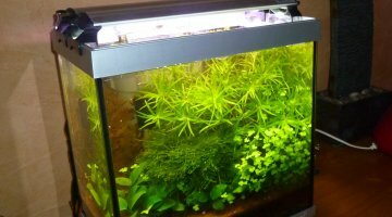 Nano 25L