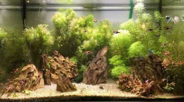 180L communautaire