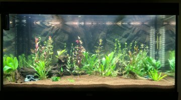 Rio 350L communautaire