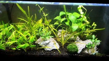 60L - Restructuration