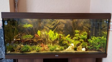400l communautaire ...