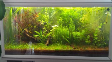 Cap Vert 240L