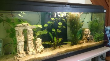 120 litres Communaitaire
