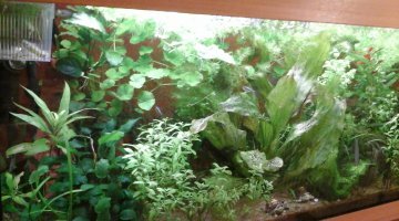 400l communautaire