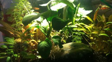 Fluvial Edge 25L