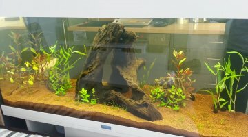180l amazonien