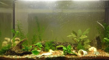 96 litres eau douce