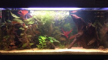 90L communautaire