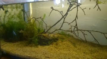 50 l low tech