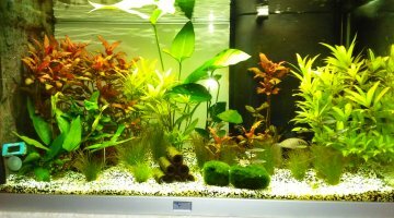 138 litres eau douce