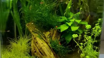 Nano 30L