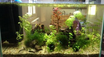 Home60