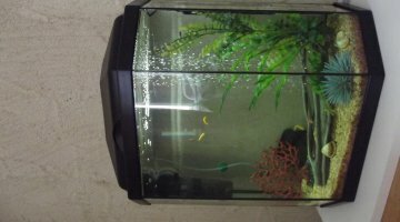 Nano 45L Détente