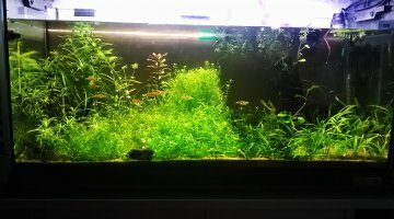 100 litres
