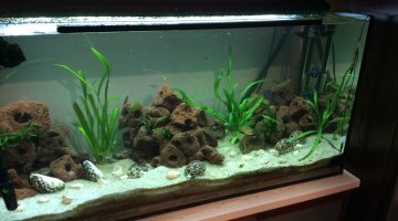 200 Litres Africain
