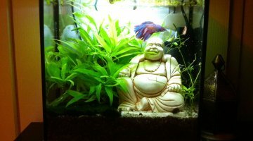 Le 10 litres a Madame