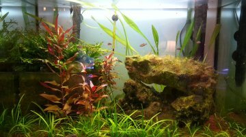 80 litres