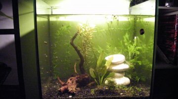 Nano low tech