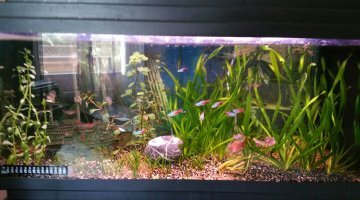 70L communautaire