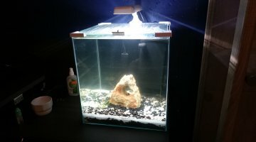 nano 25l