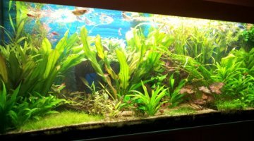 450litres
