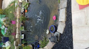 Bassin extérieur 2000 litres