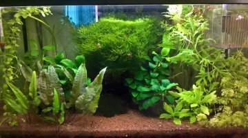 60 litres bébés