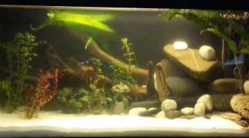 60 litres asie