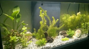 eau douce 75 litres
