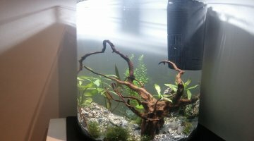 TETRA EXPLORER 60L (DEMI-LUNE)