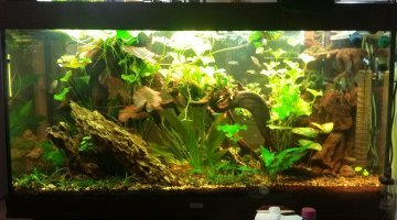 350 litre com