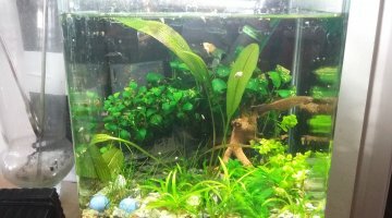 nano 15l